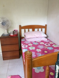 Serangoon Garden Estate (D19), Semi-Detached #215910171